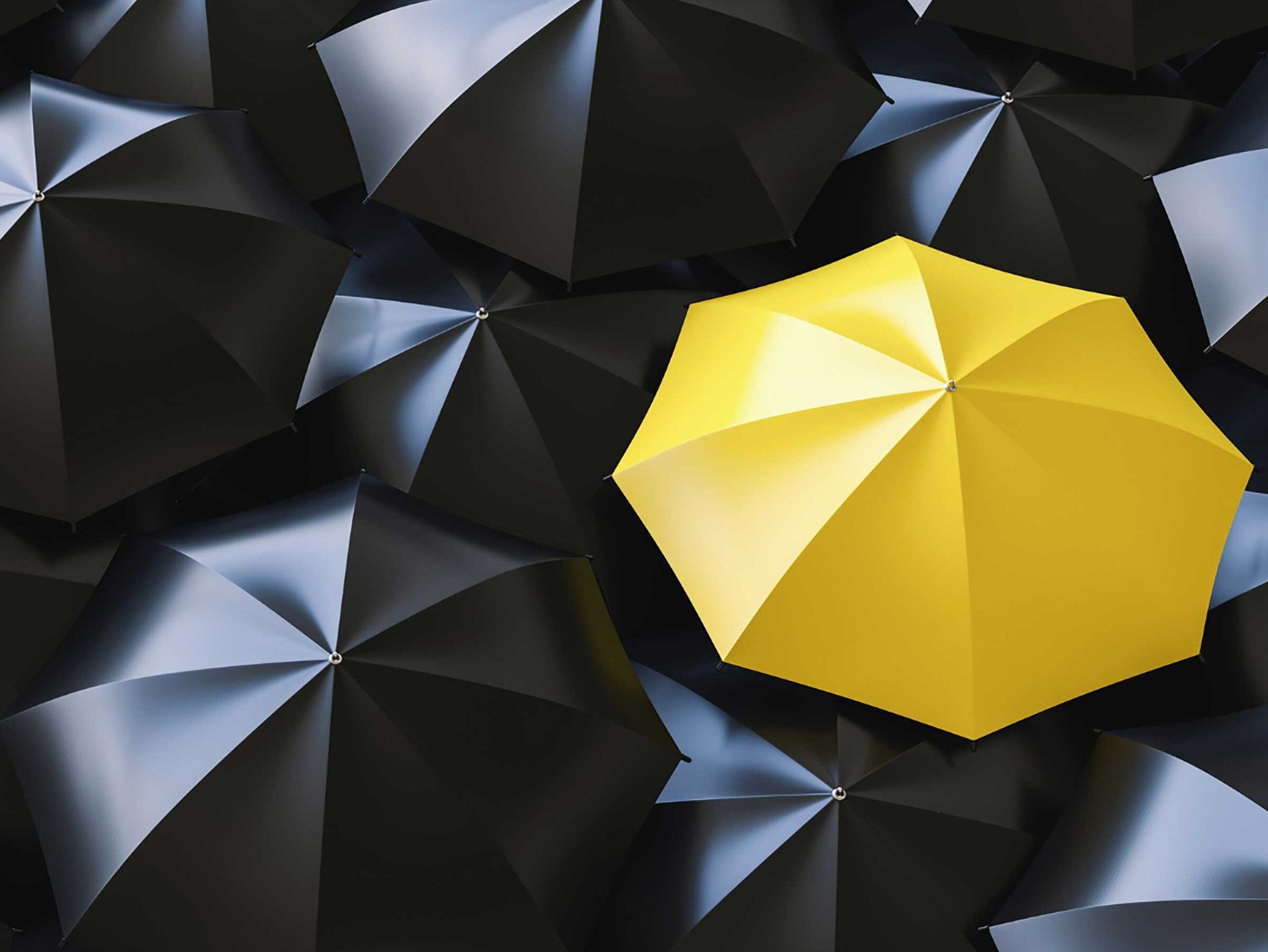 Read more about the article Building a capability pipeline.